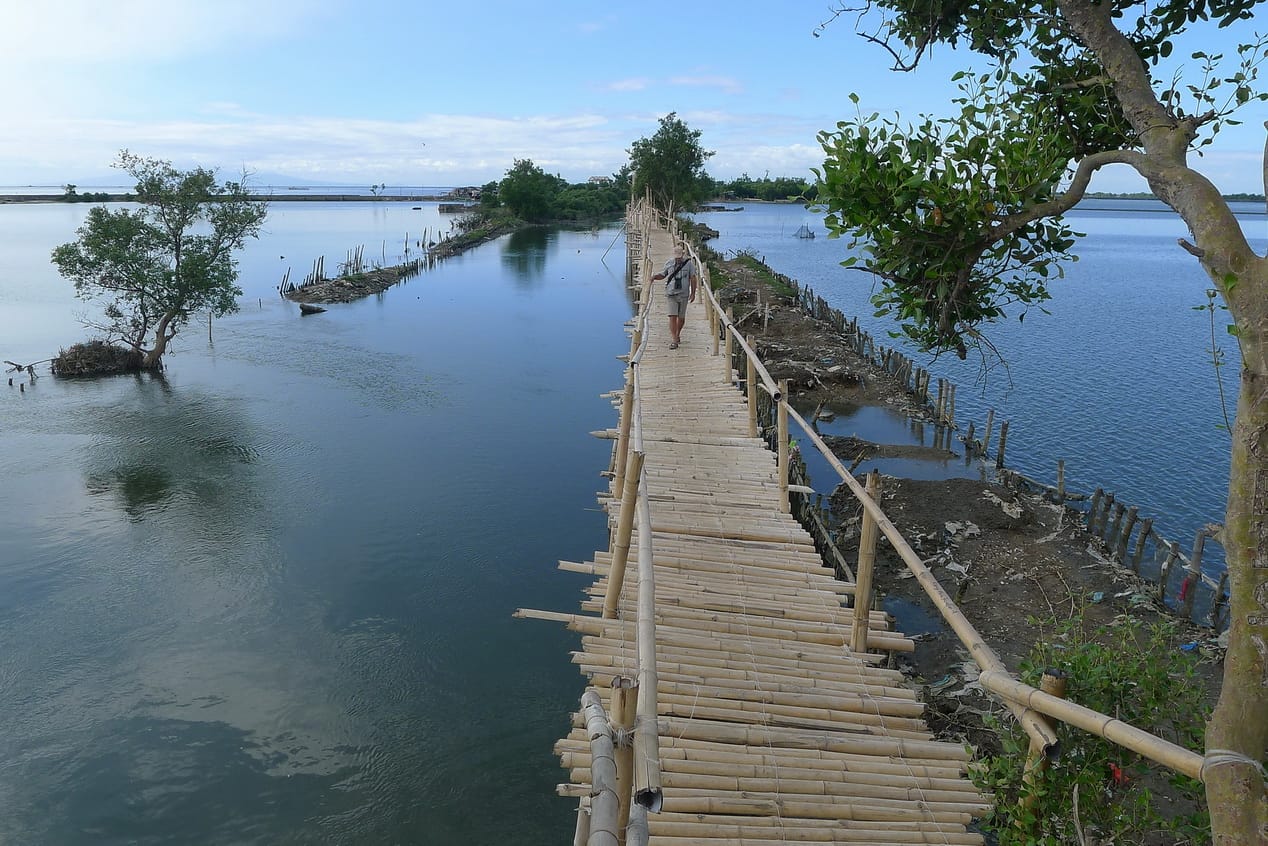 The Bamboo Bridge leading to Sitio Pulo. Photo by Christian Perez.