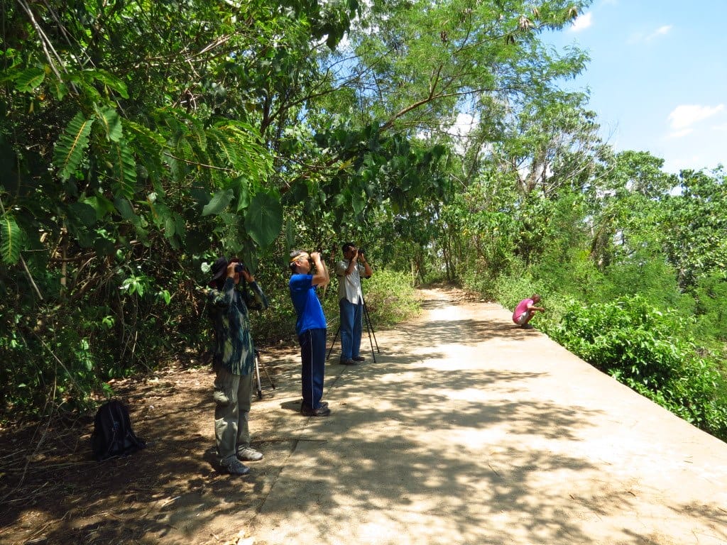 Some members of the WBCP were invited to do an ocular and informal bird survey of the Timberland subdivision in San Mateo, Rizal. Photo by Vincent Lao.