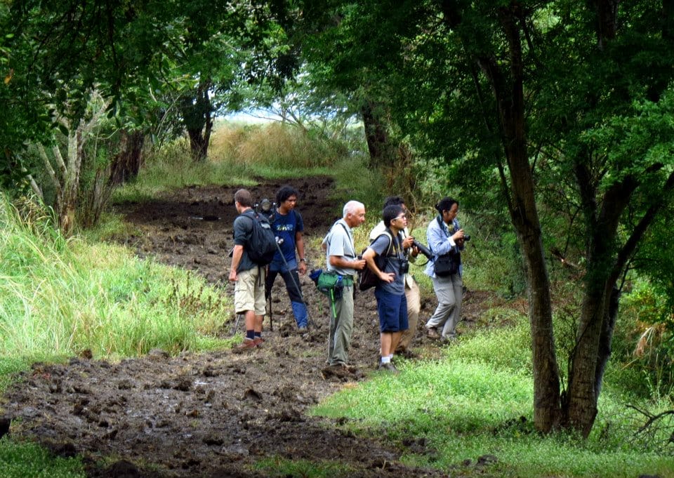 Braving the mud to look for warblers. Photo by Maia Tañedo.