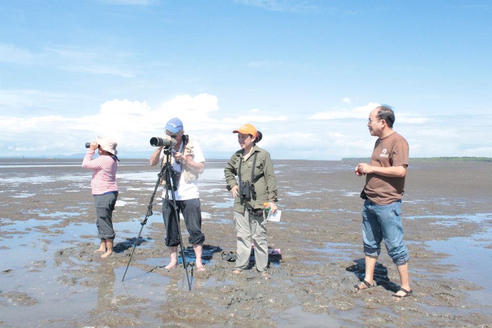 Counting birds from the mudflats. Photo by Lisa Paguntalan.