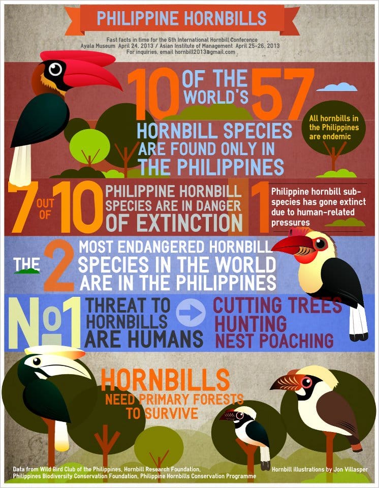 Fast Facts on Philippine Hornbills by Jon Villasper