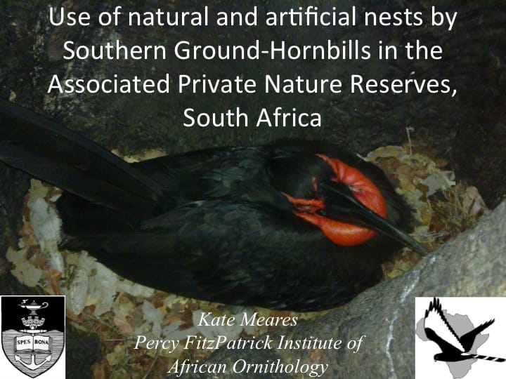 Kate Meares, 6th International Hornbill Conference, slide 1 Nesting attempts of Southern Ground-Hornbills in the Associated Private Natures Reserves (APNR), South Africa, have been monitored since 2000.  A permanent research base is located in the APNR and we at the Percy FitzPatrick Institute  investigate home range and habitat use by means of satellite tracking, nesting attempts, and changes in group compositions over time. �