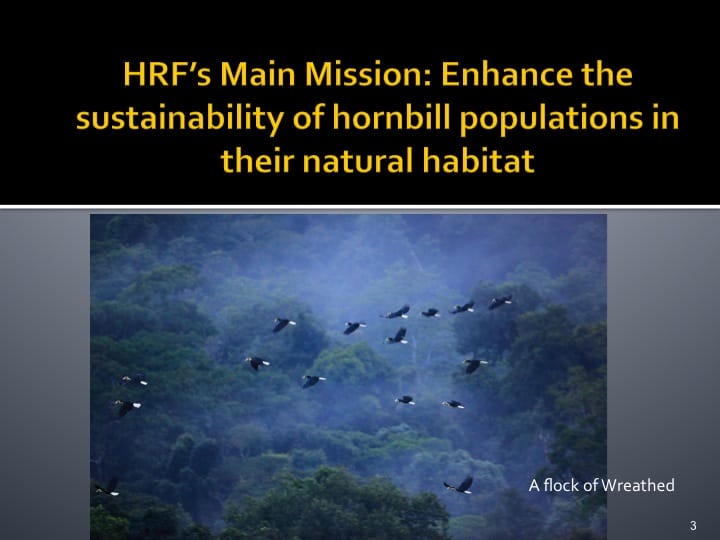 Dr. Woraphat Arthayukti, 6th International Hornbill Conference Manila, Philippines - Slide 3