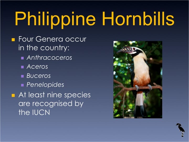 Dr. William Oliver,  6th International Hornbill Conference - Slide 3