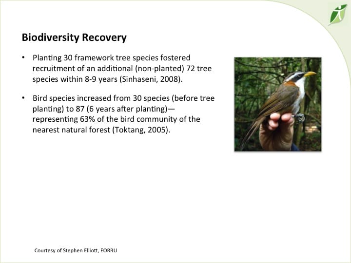 6th International Hornbill Conference, Dr. David Neidel, slide 10