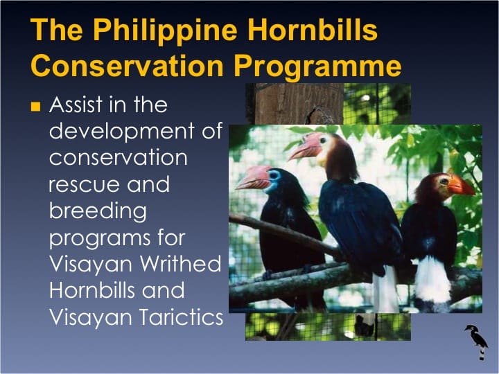 Dr. William Oliver,  6th International Hornbill Conference - Slide 12