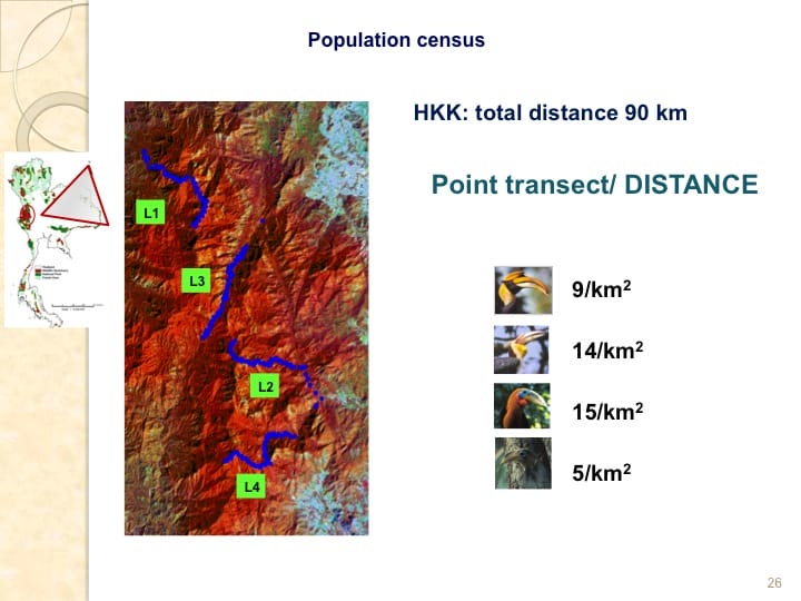 6th International Hornbill Conference, Dr. Vijak Chimchome, slide 26