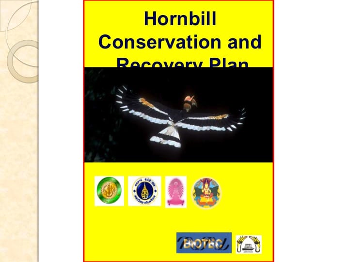 6th International Hornbill Conference, Dr. Vijak Chimchome, slide 54