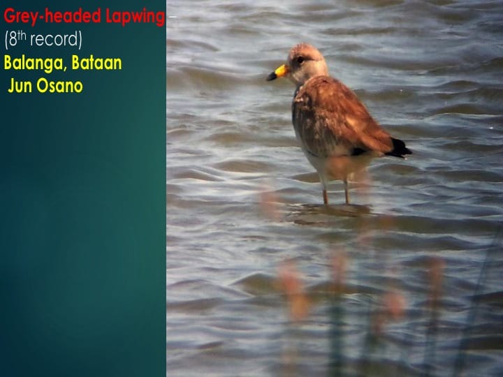 Slide31