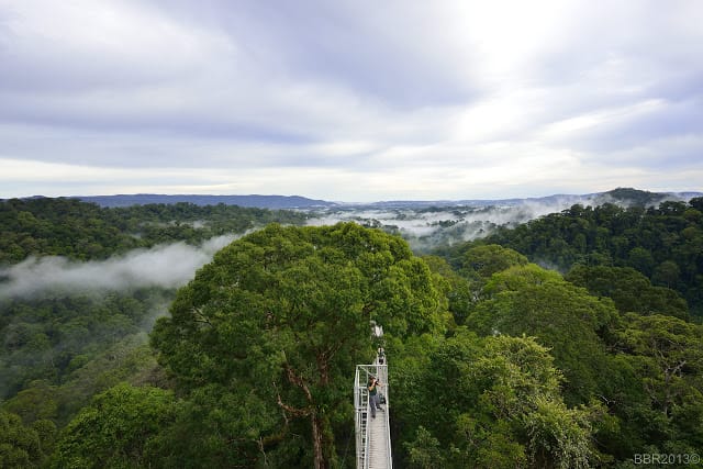 View at the Canopy walkway, Ulu Temburong National Park