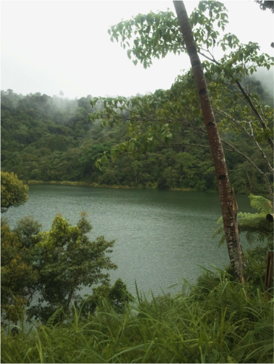 Lake Maragang within Mt. TimolanProteced Landscape, refuge for Philippine Ducks.  Photo by Adri Constantino.