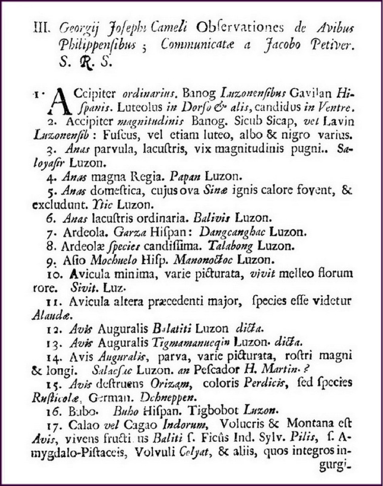 First page of Georg Kamel’s “Observationes de Avibus Philippensibus”