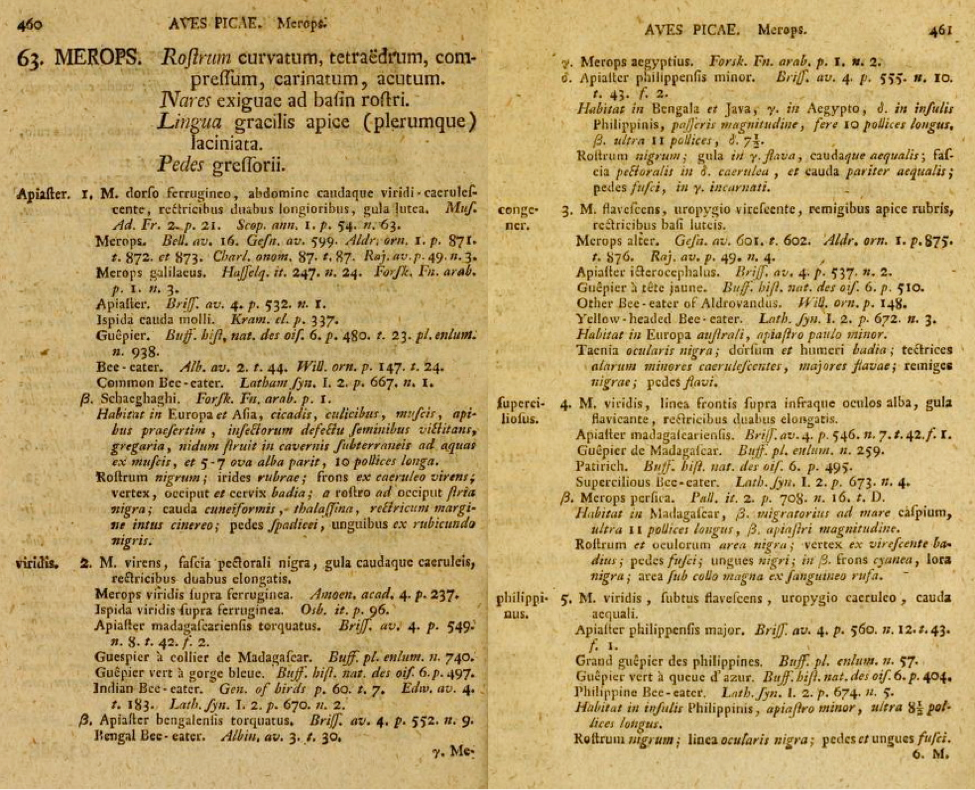 Two pages from Gmelin’s edition of Systema Naturae describing five species under the genus Merops (Bee-eater): species number 2 is Merops viridis and species number 5 M. philippinus.