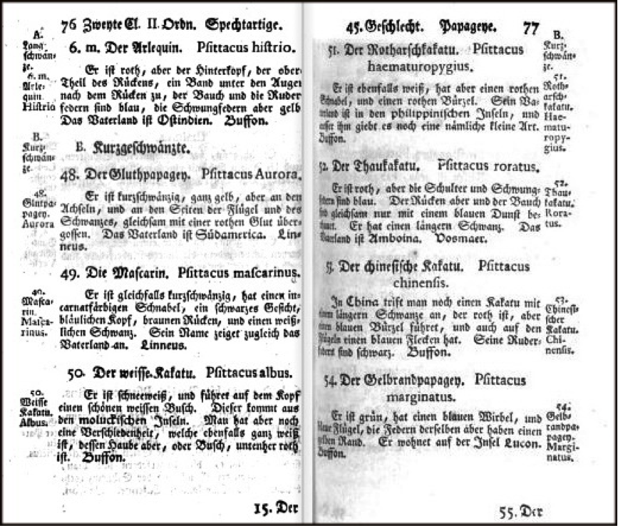 Pages 76-77 of Müller’s “Supplements” (1776) describing the Philippine Cockatoo (number 51, top right) and Blue-naped Parrot (number 54, bottom right)