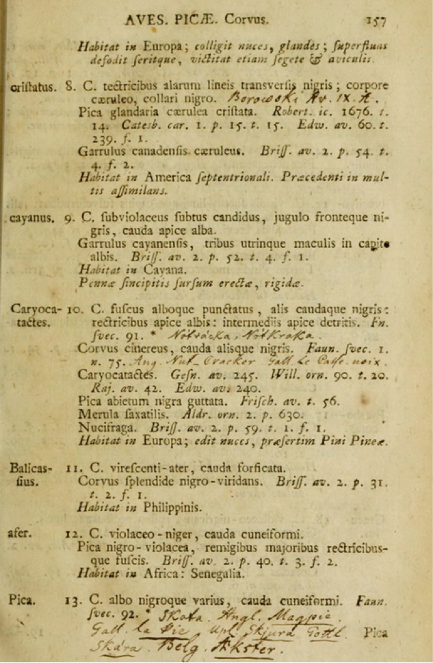 Page 157 of the 12th edition (1766) of Systema Naturae with a description of the Balicassiao (bird number 11 Corvus balicassius) with the statement Habitat in Philippinis (lives in the Philippines)