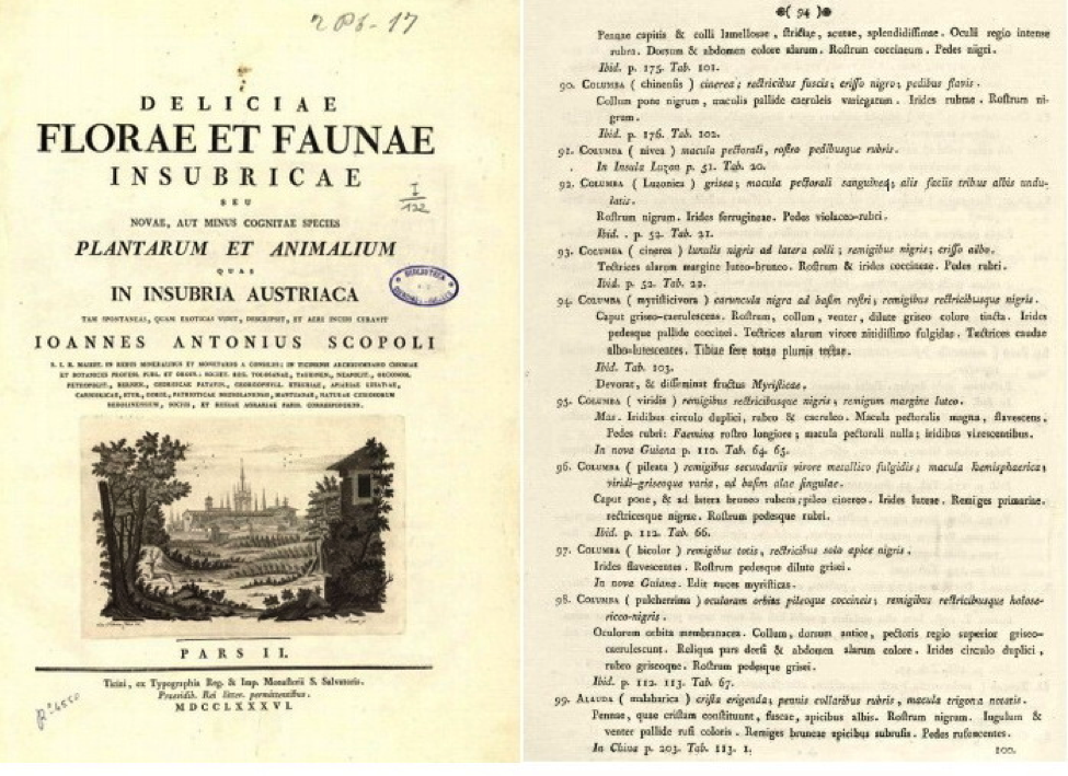 Left: Title page of Scopoli’s Deliciae Florae et Faunae Insubricae (1786). Right: page 94 with description of Luzon Bleeding-heart (bird number 92 Columba Luzonica)
