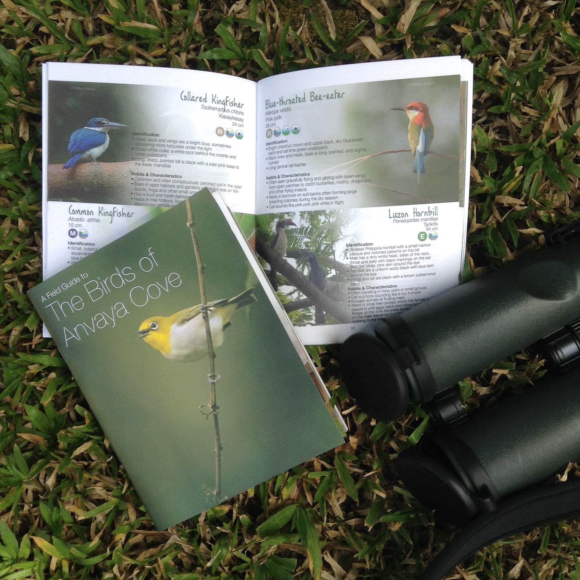 A Field Guide to The Birds of Anvaya Cove