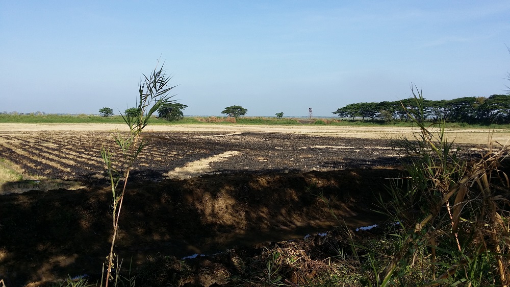 6 CANAL DIGGING BURNED FIELDS