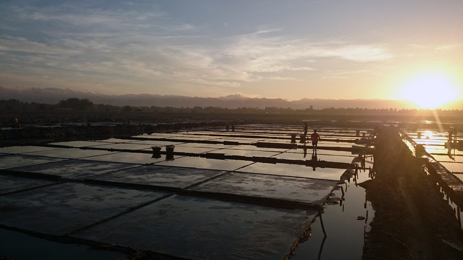 Already working the salt pans at dawn. Photo by Pete SImpson.