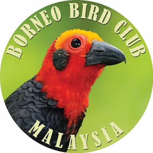borneo-bird-club