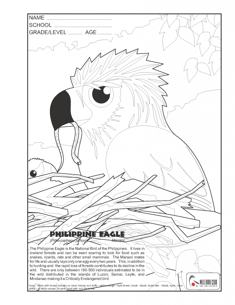 WBCP Coloring Page: Philippine Eagle – Wild Bird Club of the Philippines